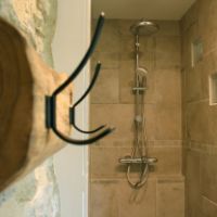 Partie douche de la chambre
