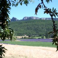 Amandiers et lavandes à proximité du gîte